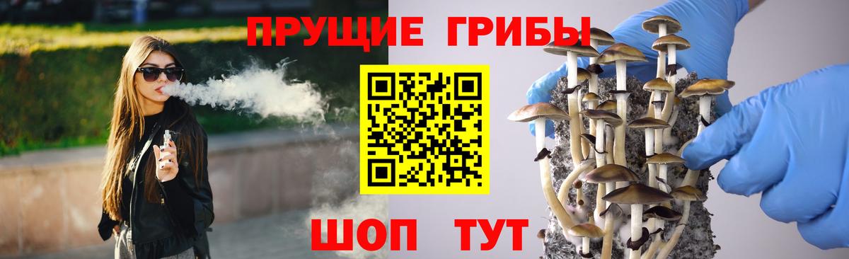 Псилоцибиновые грибы ЛСД  Вход с VPN  Богородицк 